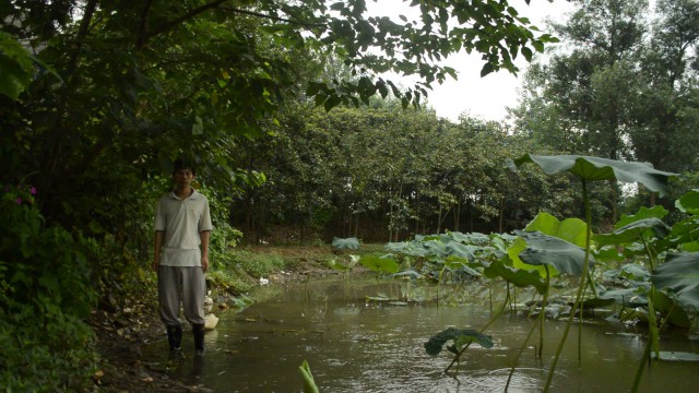 雷竞技raybet官网入口(中国游)官方网站