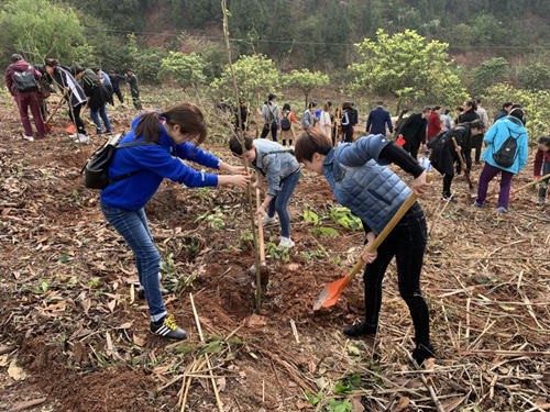 雷竞技raybet官网入口(中国游)官方网站